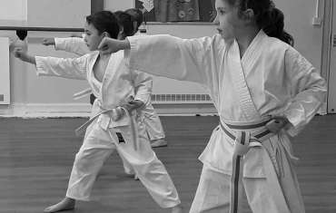 1 – Young Ninjas Karate